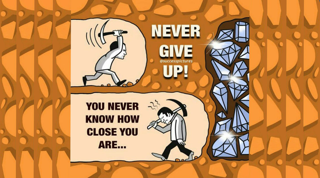 fotograf de nunta perseverenta cutie stick