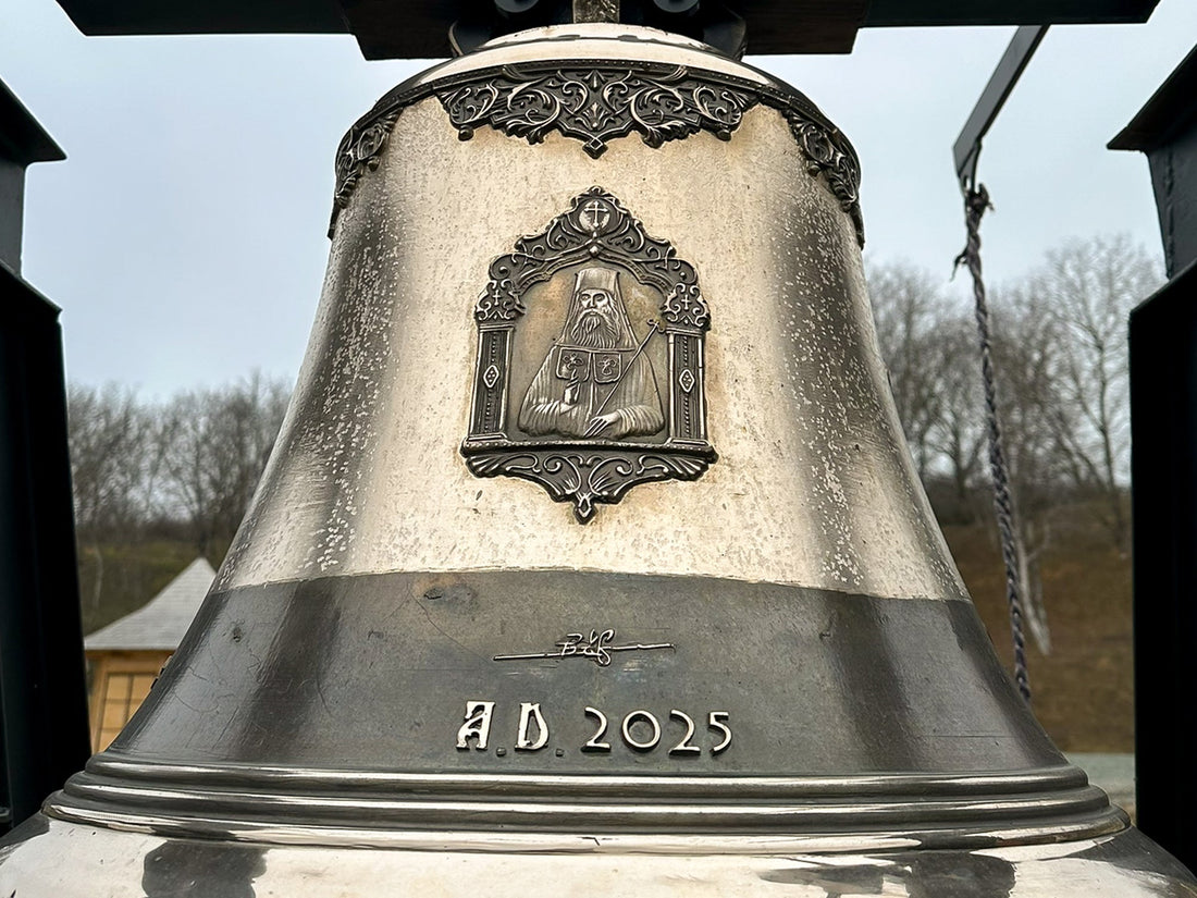 Fapta cea bună 2025